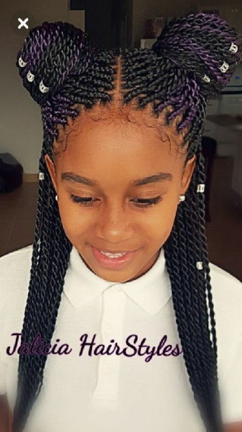 Pictures Of Little Girl Braided Hairstyles
 Little Black girls’ 40 Braided Hairstyles