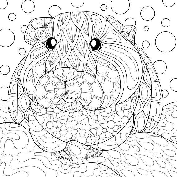 Pig Coloring Pages For Adults
 Pin on fun