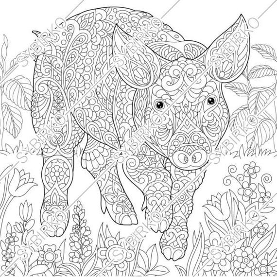Pig Coloring Pages For Adults
 Coloring pages Pig Piggy Piglet Animal coloring book