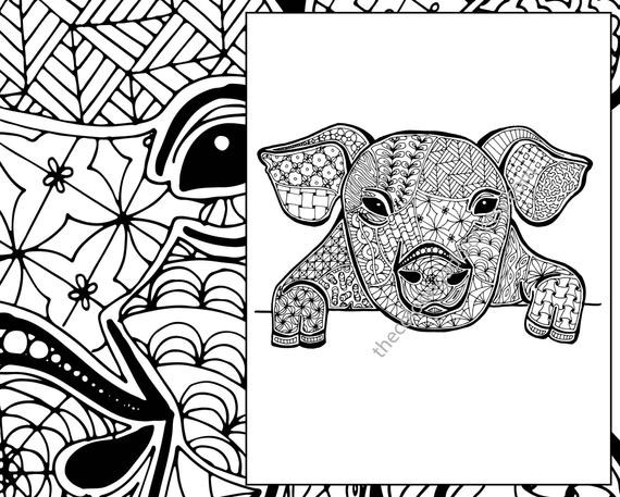 Pig Coloring Pages For Adults
 pig coloring sheet animal coloring pdf zentangle colouring