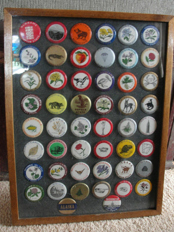 Pins Button
 50 USA state collectible buttons framed old