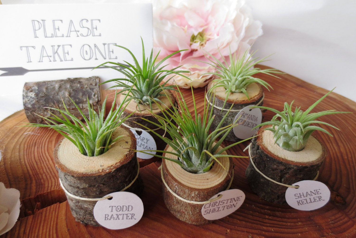 Plant Wedding Favors
 Items similar to Wood and Airplant Wedding Favors Place