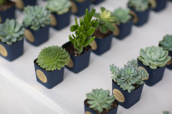 Plant Wedding Favors
 Mini plant pot wrappers – by popular demand