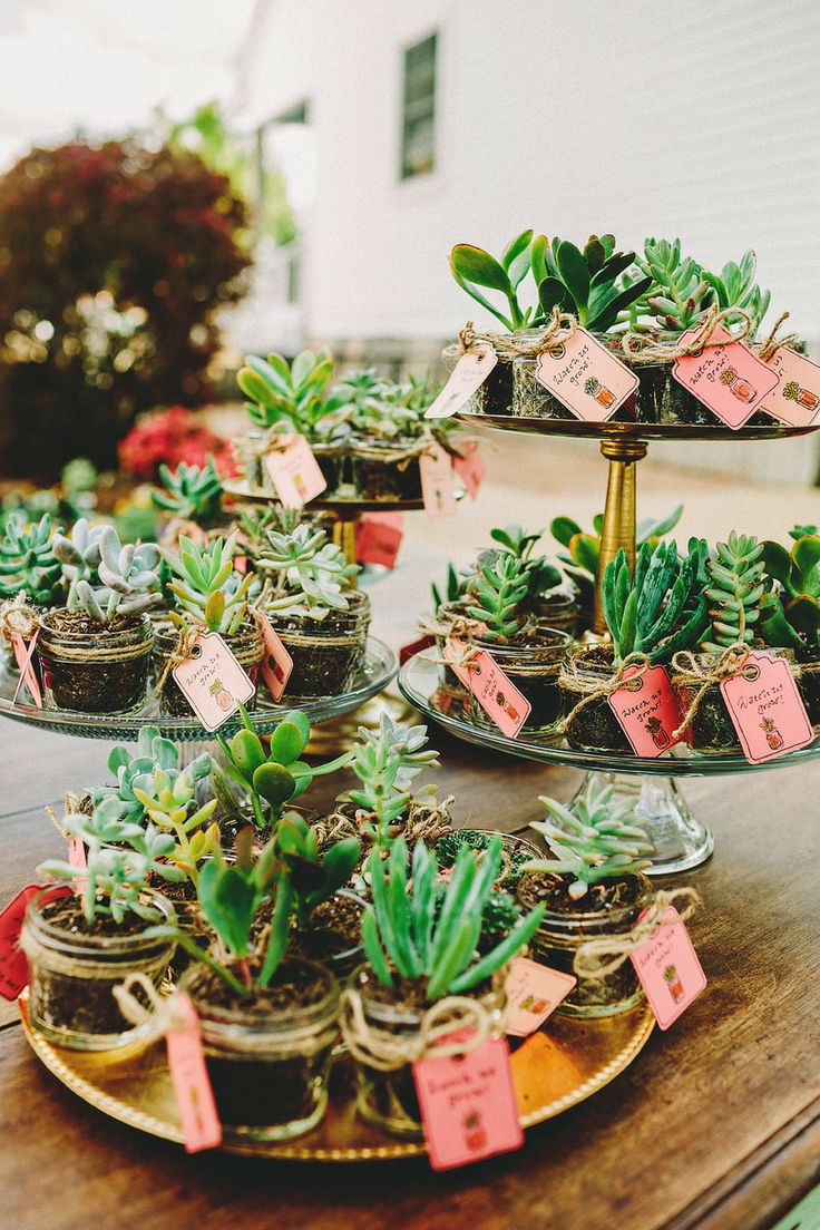 Plant Wedding Favors
 Plant and Herb Wedding Favors Wedding Philippines