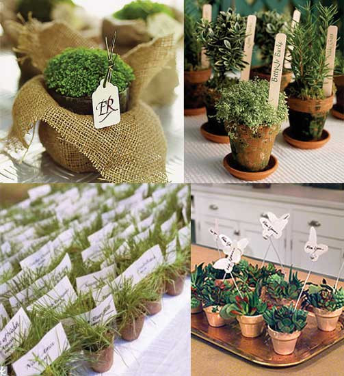 Plant Wedding Favors
 Gardening Themed Favors Elizabeth Anne Designs The