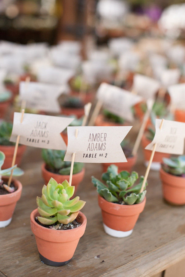 Plant Wedding Favors
 35 Succulent Wedding Ideas for Your Big Day