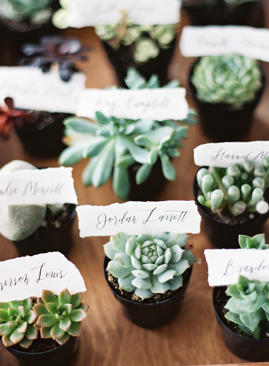 Plant Wedding Favors
 Unexpected Ways to Use Succulents as Part of Your Wedding
