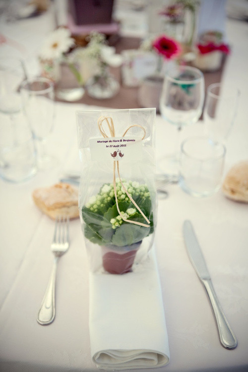 Plant Wedding Favors
 7 Wedding Favors Your Guests Will Actually Want