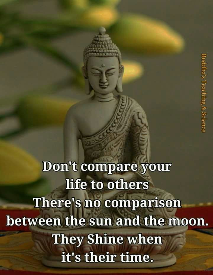 Positive Buddhist Quotes
 Pin by Viji Chidam on Buddha quotes
