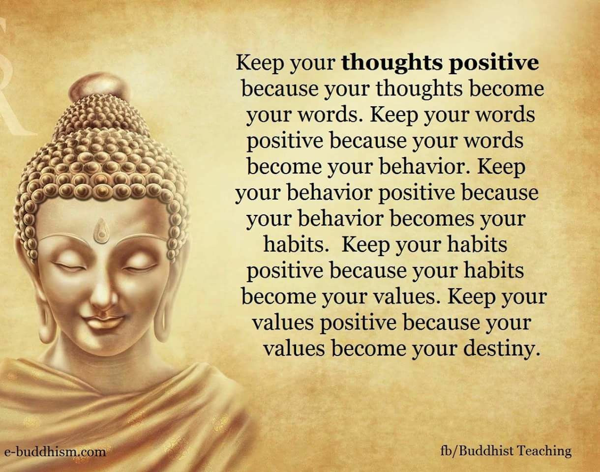 Positive Buddhist Quotes
 Pin by Pradeep Saigal on My Quotes