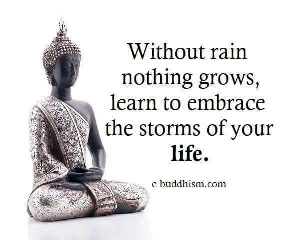Positive Buddhist Quotes
 Buddhist Quotes Best Collection of Buddha Quotes on Life