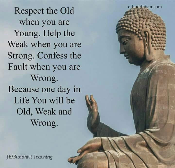 Positive Buddhist Quotes
 Pin by Viji Chidam on Buddha quotes