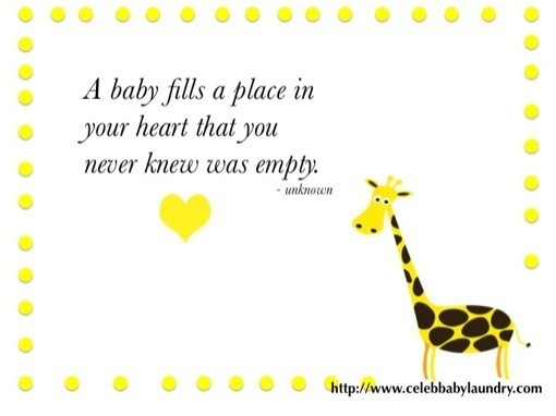Positive Pregnancy Quotes
 Inspirational Pregnancy Quotes
