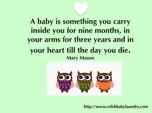 Positive Pregnancy Quotes
 Inspirational Pregnancy Quotes