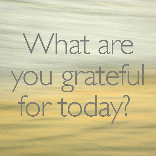 Positive Quote For Today
 Inspirational Picture Quotes What are you grateful for