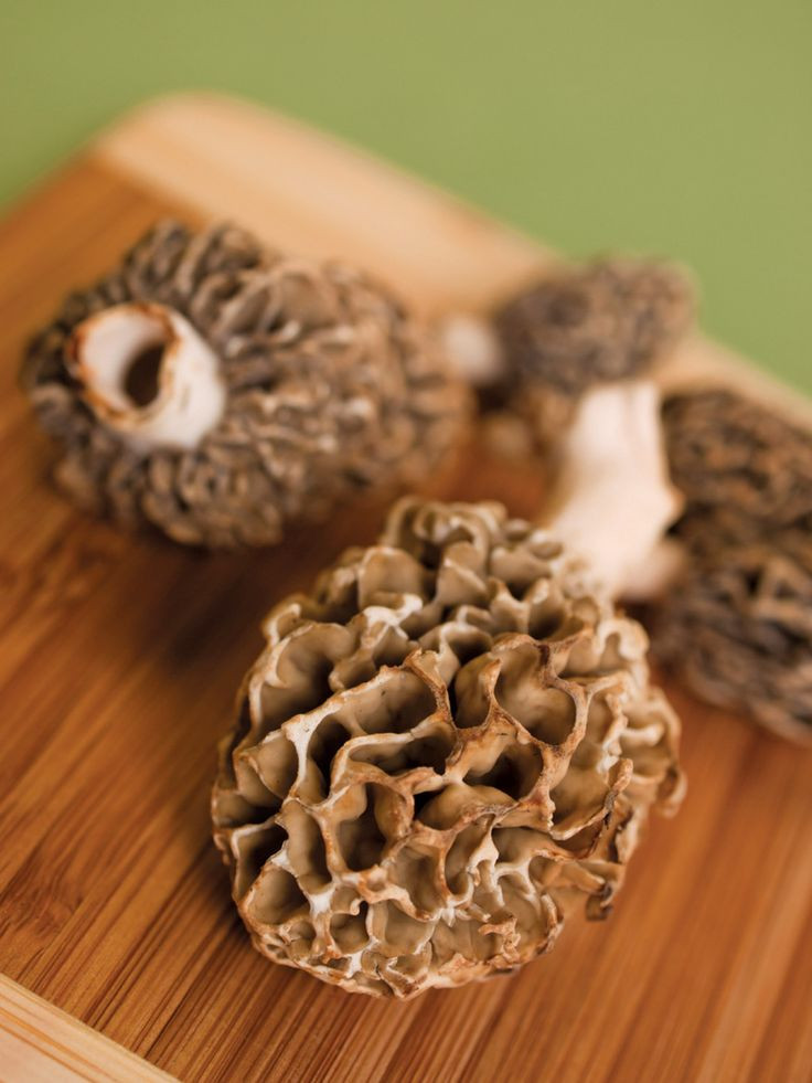 Preserving Morel Mushrooms
 17 Best images about Morel Mushroom season on Pinterest