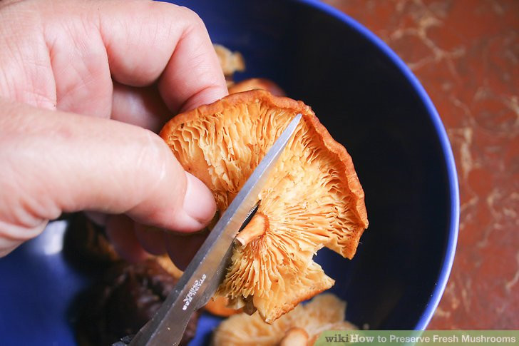Preserving Morel Mushrooms
 4 Ways to Preserve Fresh Mushrooms wikiHow