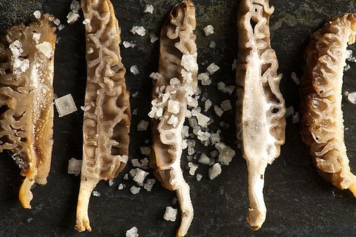 Preserving Morel Mushrooms
 Foraging Morel Mushrooms How to Find Identify Preserve