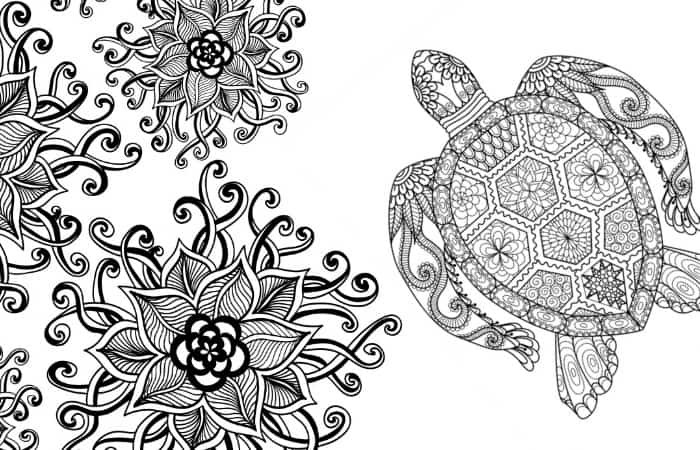 Printable Adult Coloring Book
 20 Gorgeous Free Printable Adult Coloring Pages Nerdy Mamma