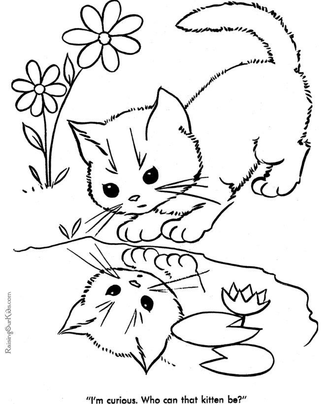 Printable Cat Coloring Pages For Kids
 Cat Coloring Sheets