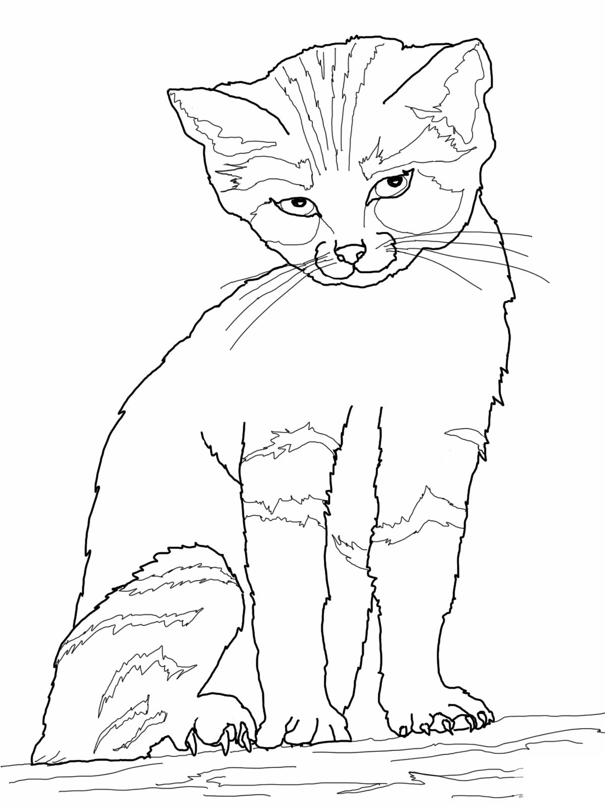 Printable Cat Coloring Pages For Kids
 1000 images about cool coloring pages all ages on
