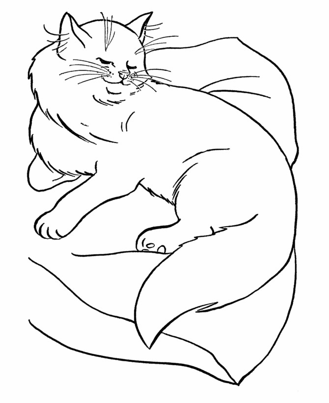 Printable Cat Coloring Pages For Kids
 Free Printable Cat Coloring Pages For Kids