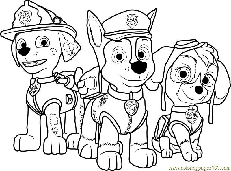 Printable Coloring Pages Paw Patrol
 Paw Patrol Word Search Sketch Coloring Page