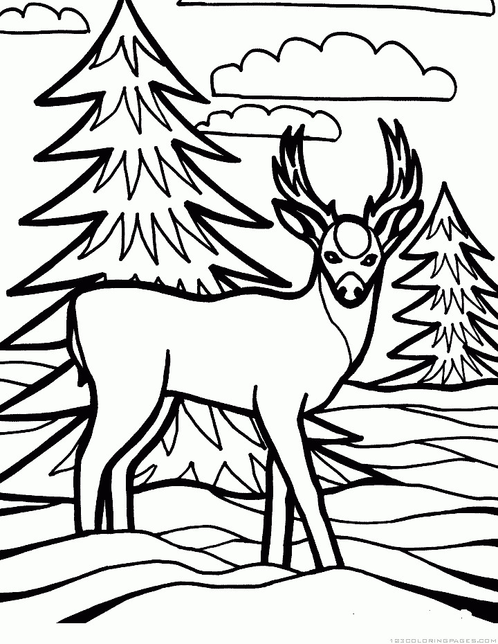 Printable Detailed Coloring Pages
 Deer Coloring Pages