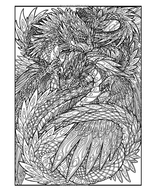 Printable Detailed Coloring Pages
 Dragon Adventure A Kaleidoscopia Coloring Book Rachael