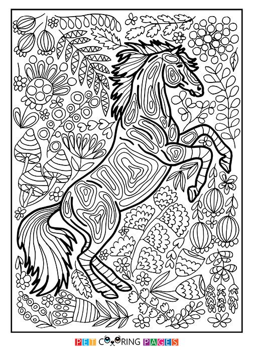 Printable Detailed Coloring Pages
 Free printable horse coloring page available for
