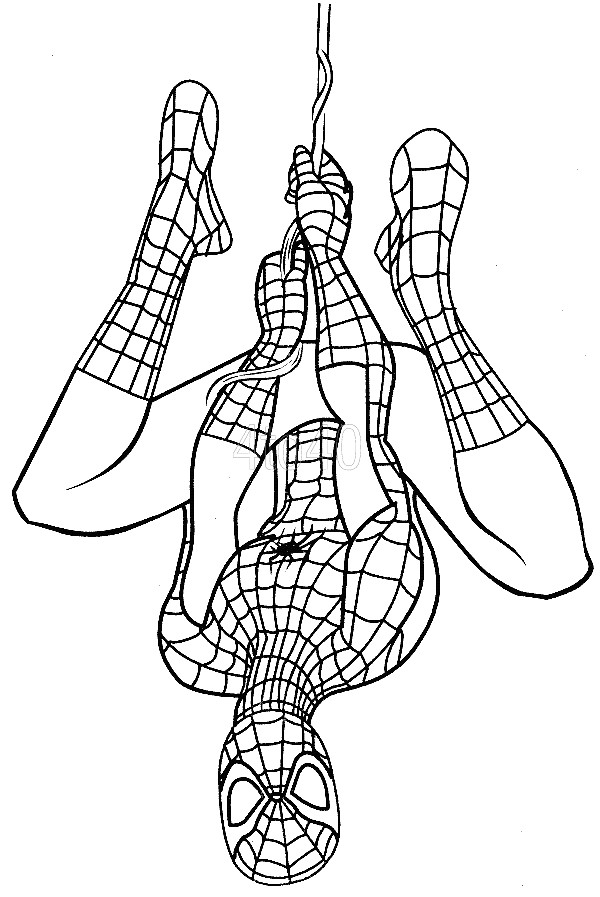 Printable Spiderman Coloring Pages
 Spiderman Coloring Pages