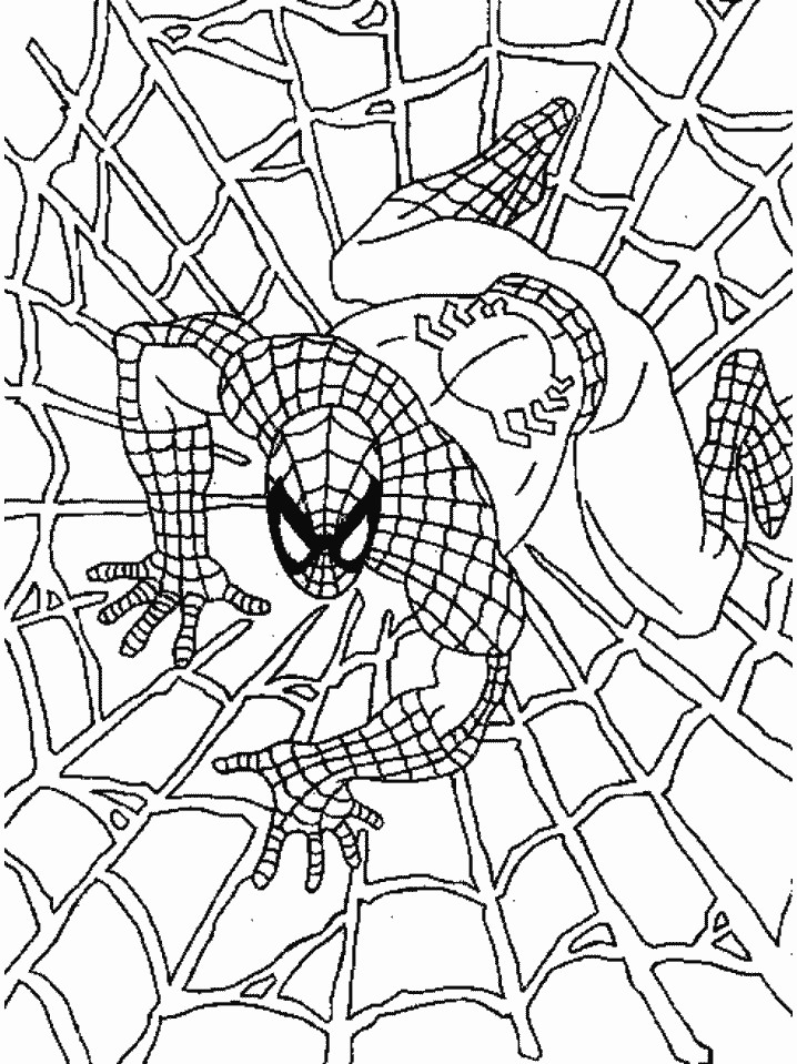 Printable Spiderman Coloring Pages
 Coloring Pages Spiderman Free Printable Coloring Pages