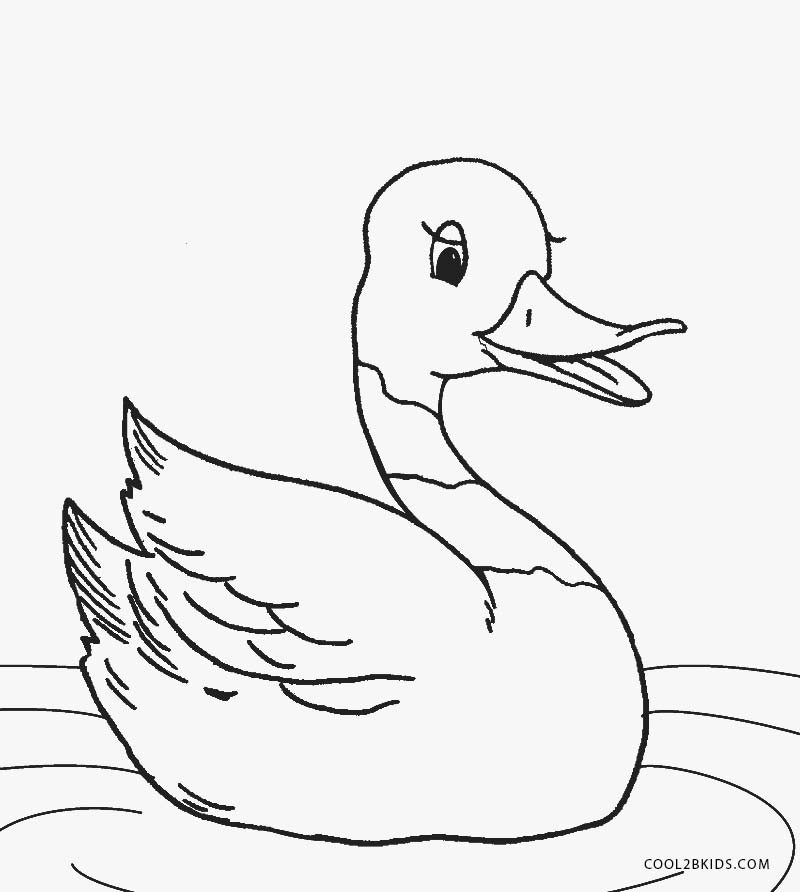 Printable Toddler Coloring Pages
 Printable Duck Coloring Pages For Kids