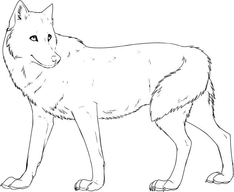Printable Wolf Coloring Pages
 Free Printable Wolf Coloring Pages For Kids