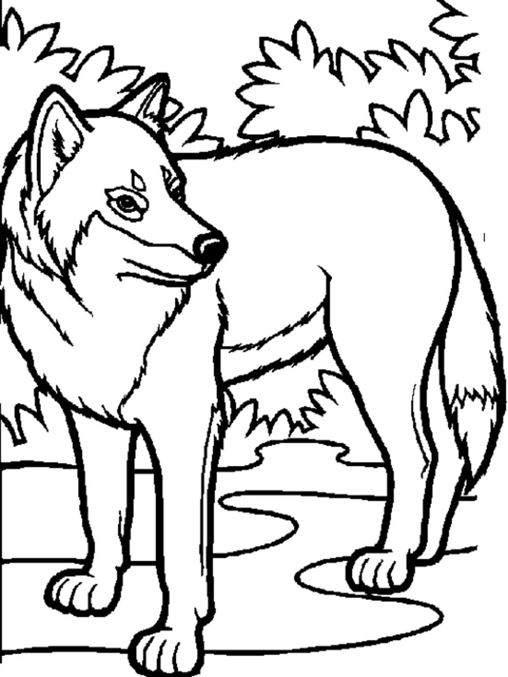 Printable Wolf Coloring Pages
 Print & Download Wolf Coloring Pages Theme