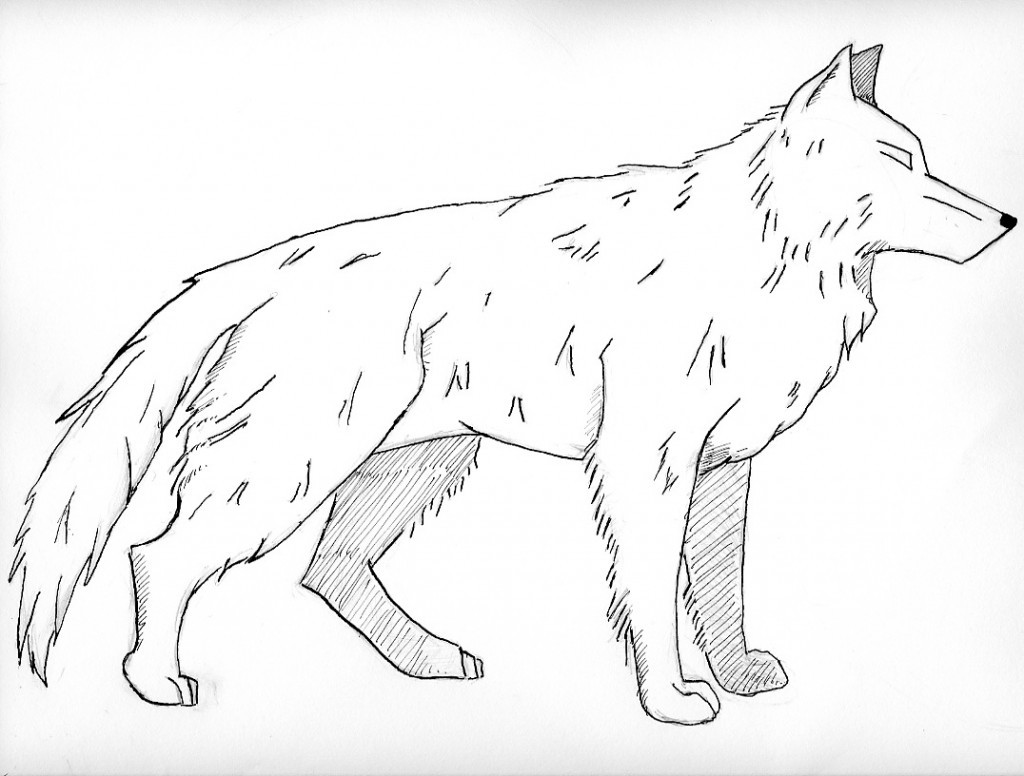 Printable Wolf Coloring Pages
 Free Printable Wolf Coloring Pages For Kids