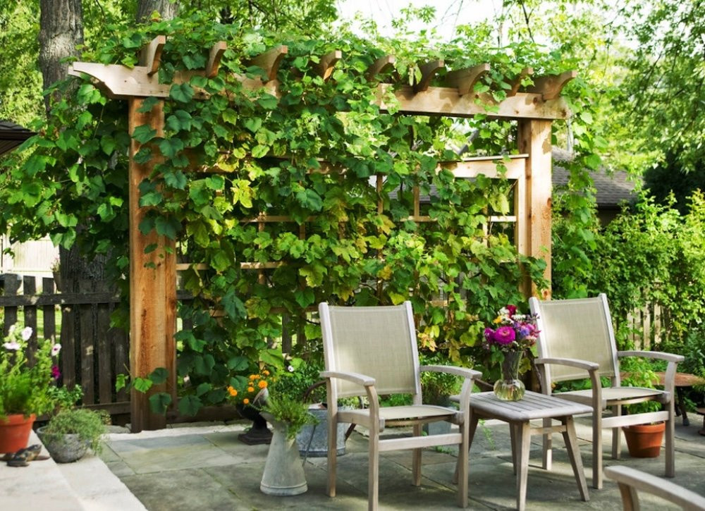 Private Backyard Ideas
 Backyard Privacy Ideas 11 Ways to Add Yours Bob Vila