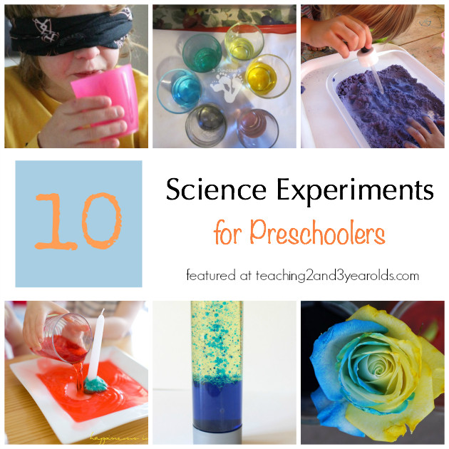 Project For Preschoolers
 Preschool Science Experiments Teaching 2 and 3 Year Olds
