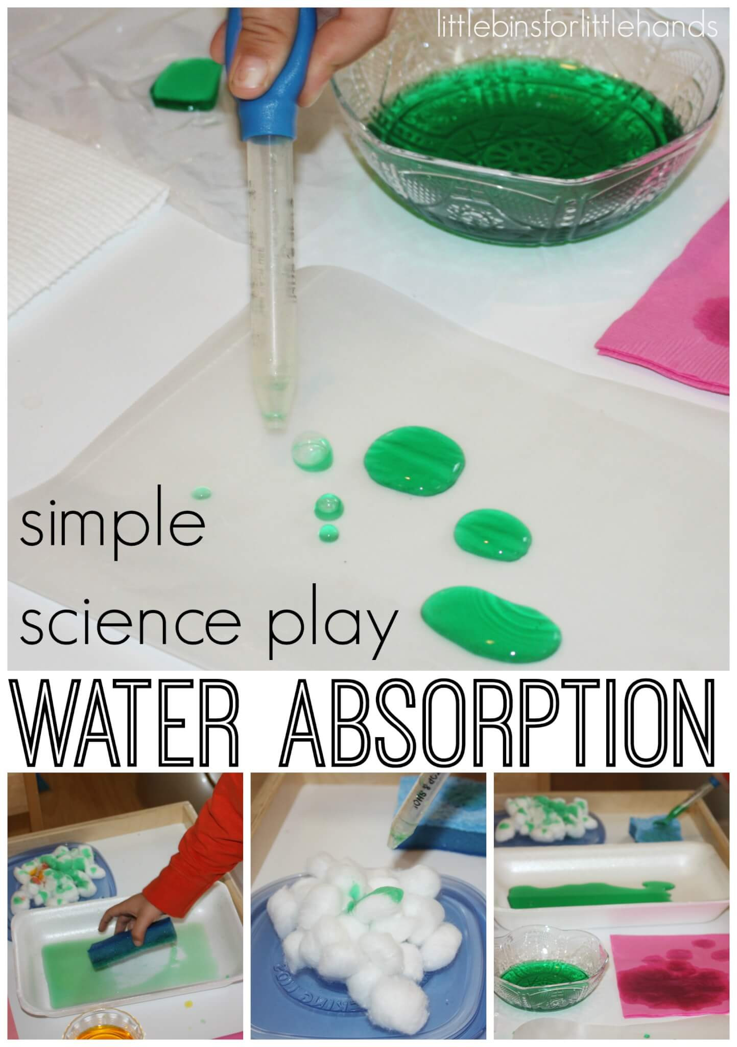 Project For Preschoolers
 Science Activities Around The House