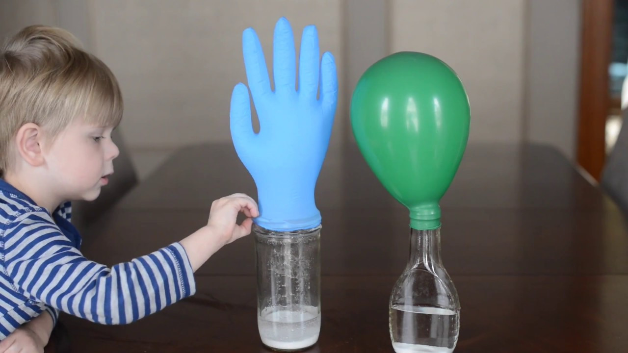 Projects For Kids At Home
 10 Easy Science Experiments That Will Amaze Kids