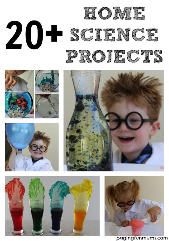 Projects To Do With Kids
 20 Home Science Projects for Kids