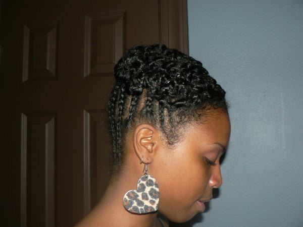 Protective Hairstyles For Short Natural Hair
 Protective Style Inspiration Natural Hair