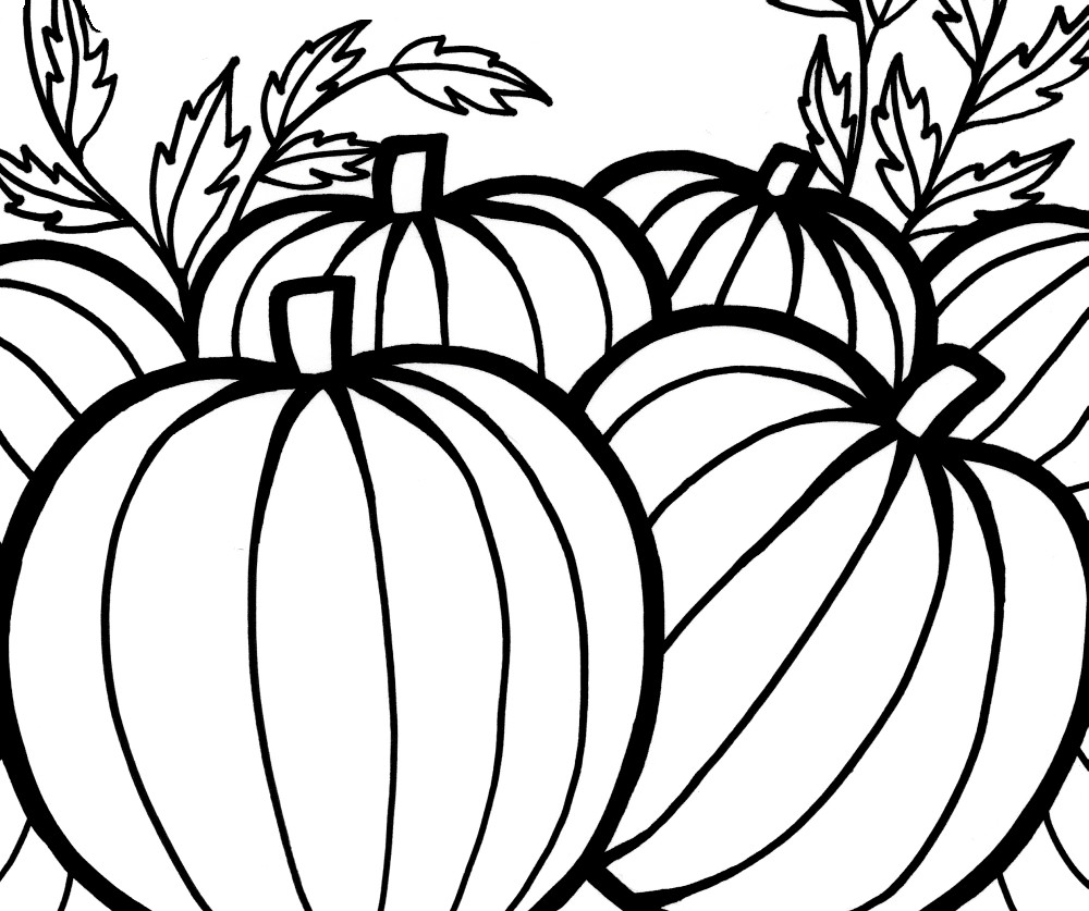 Pumpkin Coloring Sheets Printable
 Pumpkins Coloring Pages To Celebrate Thanksgiving