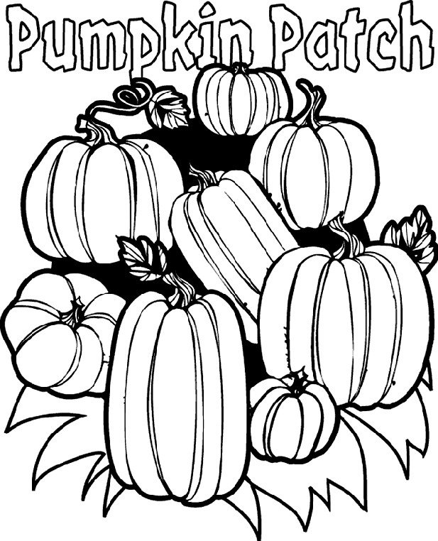 Pumpkin Coloring Sheets Printable
 Pumpkin Patch Coloring Page