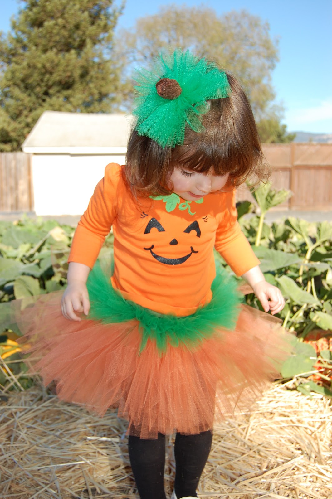 Pumpkin Costume DIY
 Craft Envy