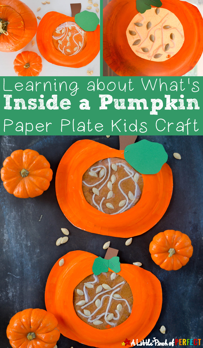 Pumpkin Craft Ideas Preschoolers
 Learning about what s Inside a Pumpkin Paper Plate Kids