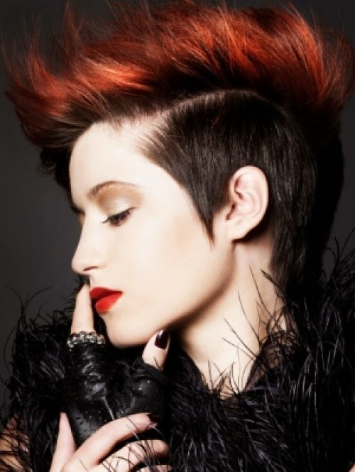 Punk Hairstyle For Short Hair
 Short Punk Hairstyles for Teenagers Stephig
