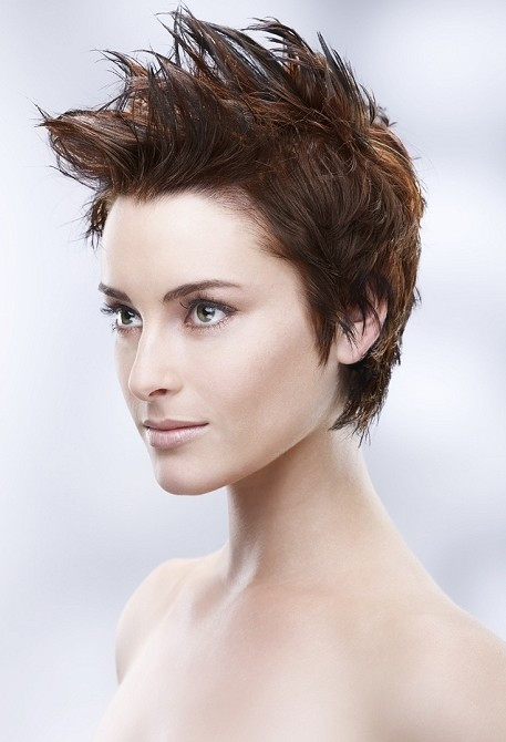 Punk Hairstyle For Short Hair
 Punk Hairstyles for Women Stylish Punk Hair s