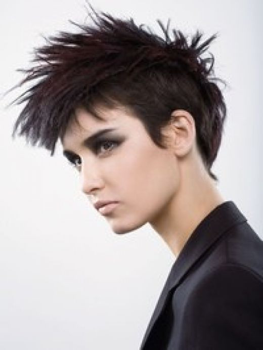 Punk Hairstyle For Short Hair
 Barbietch Short Punk Rock Hairstyles for Girls