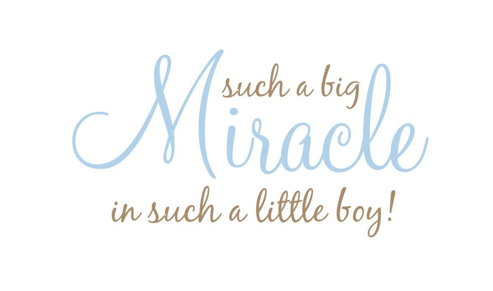 Quote About Having A Baby Boy
 Baby Boy Quotes